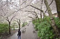 Burrard Station