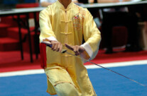 Wushu