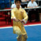 Wushu