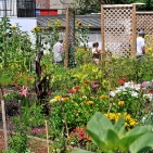 street-garden